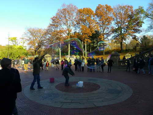 NYC_2012-11-22 14-30-54_P1070551